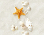 ПАНЕЛЬ Дары моря 2,7*0,25/0,675м2