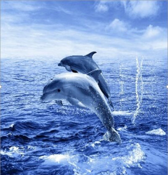 Штора д/ван "ZALEL" ФОТОПРИНТ 180x180 Two dolphins с кольцами