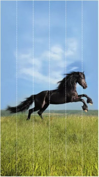Панно Свобода арт.А 1,5*2,7*,0,01м (6эл) Панно Свобода арт.А 1,5*2,7*,0,01м (6эл)
