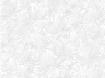 729-06 Обои Саратов Акапулько фон /дуплекс/ 0,53*10,05м (12/к) 729-06 Обои Саратов Акапулько фон /дуплекс/ 0,53*10,05м (12/к)