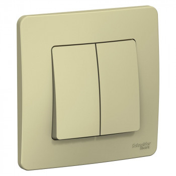 Выключатель 2-кл. СП Blanca 10А IP20 (сх. 5) 250В титан SchE BLNVS010504